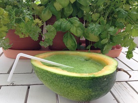 Grüner Smoothie Melonentraum