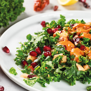 Clean Kale Salad aus dem Vitamix Ascent 2500i