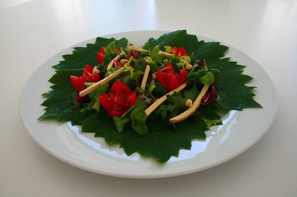 Holländisches Blütenbeet