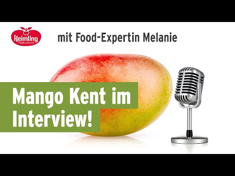 Mango Kent, bio 250 g